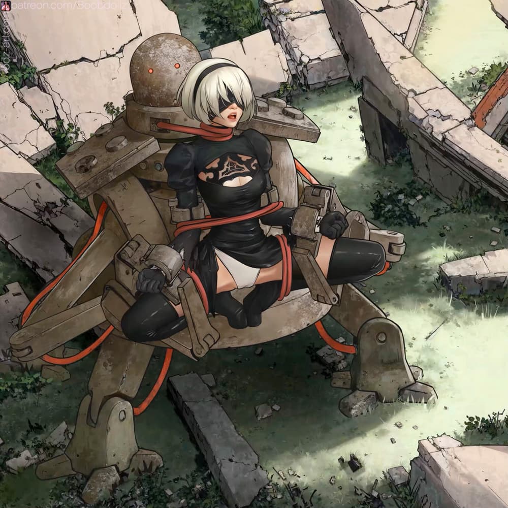 Nier Sexomata