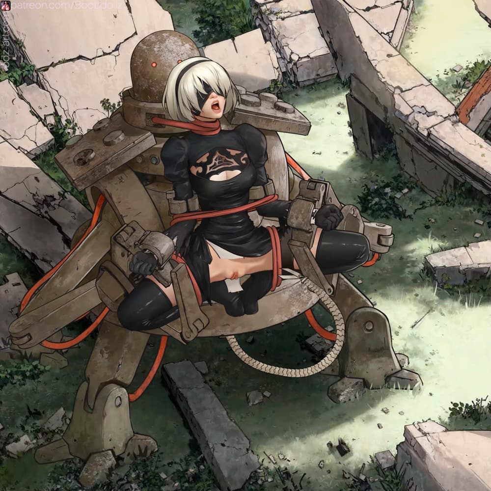 Nier Sexomata
