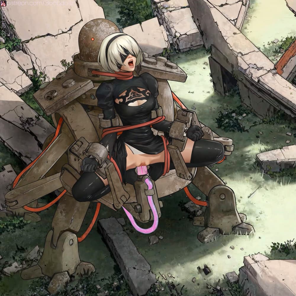 Nier Sexomata